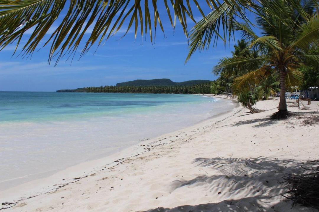 Photo of Others in Las Galeras