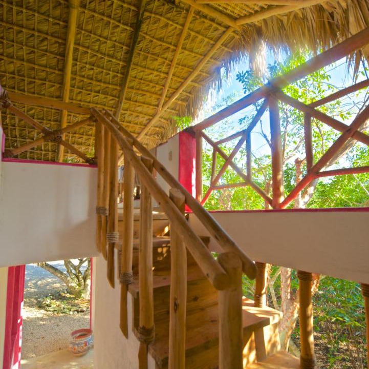 Photo of Others in Bayahibe