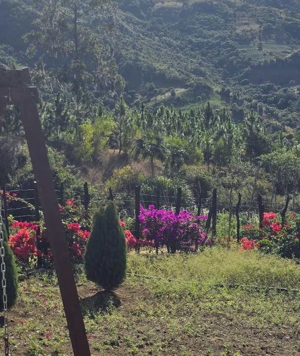 Photo of Others in San Jose de Ocoa