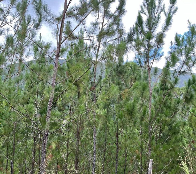 Photo of Others in San Jose de Ocoa