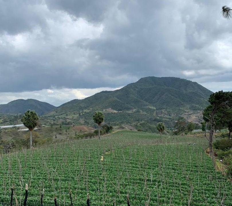 Photo of Others in San Jose de Ocoa