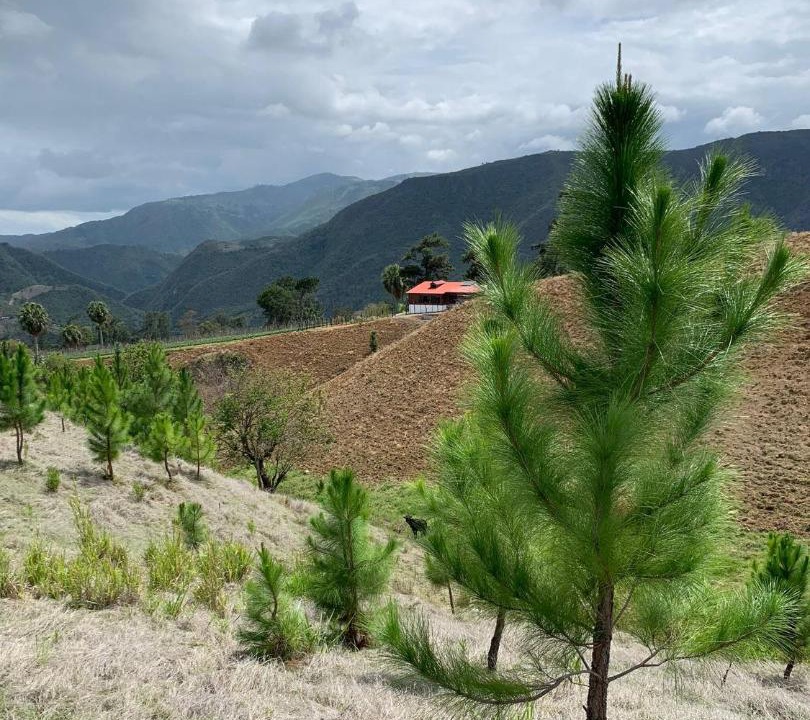 Photo of Others in San Jose de Ocoa