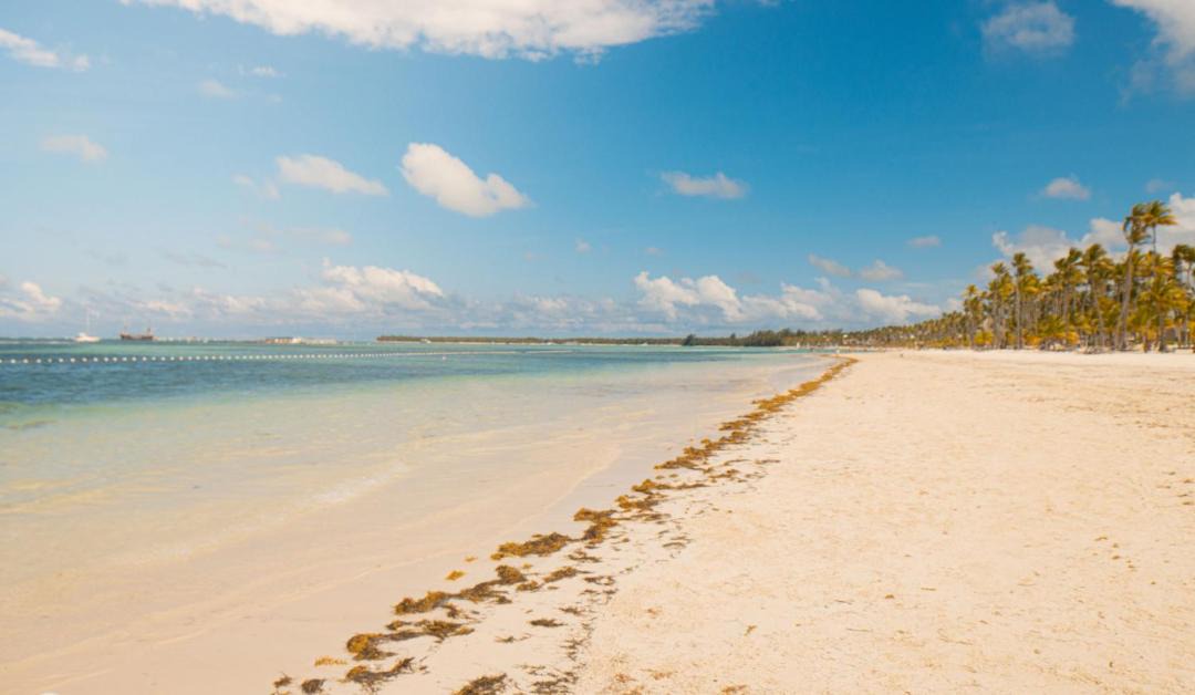 Photo of Others in Playa Bibijagua