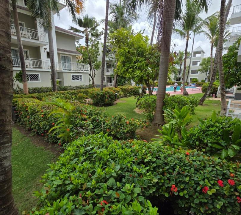 Photo of Others in Bavaro