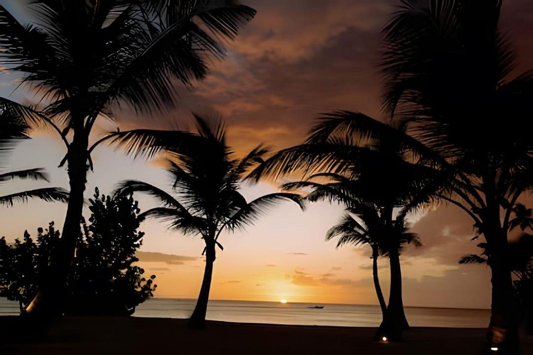 Photo of Others in Dominicus