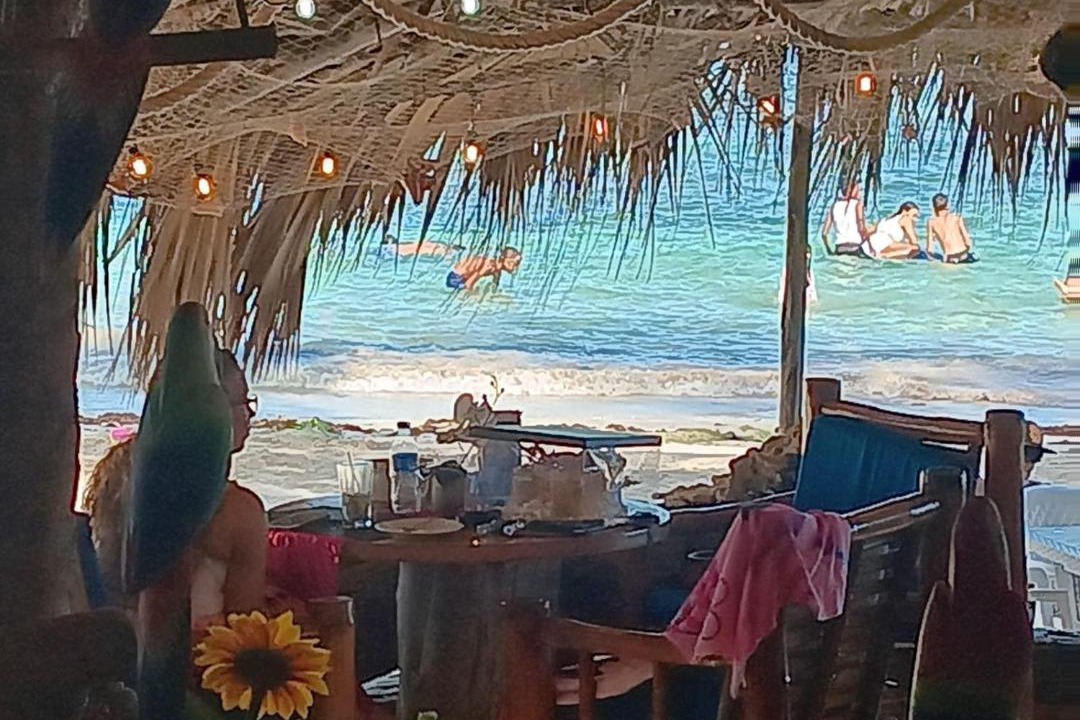 Photo of Others in Guayacanes