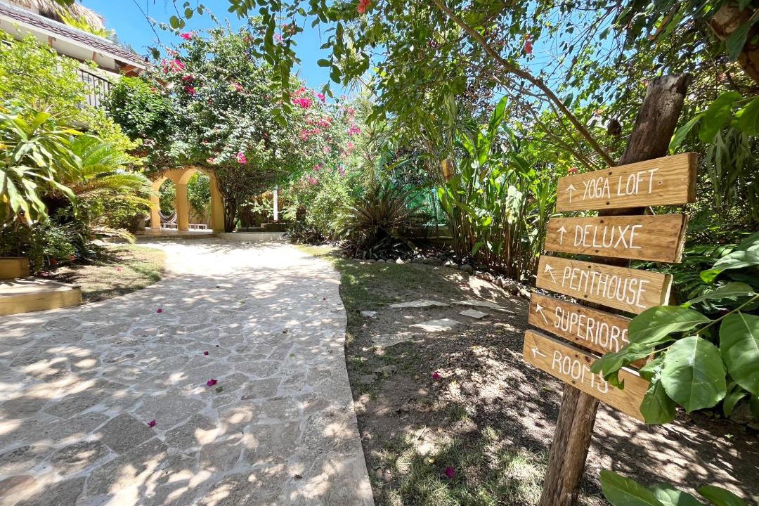 Photo of Others in Cabarete