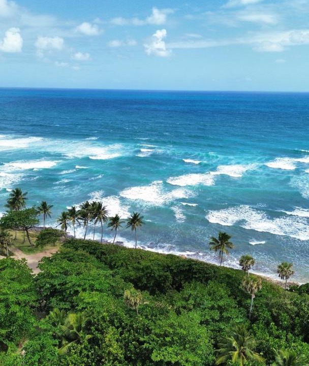 Photo of Others in Cabarete
