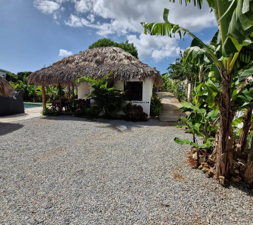 Photo of Others in Las Galeras