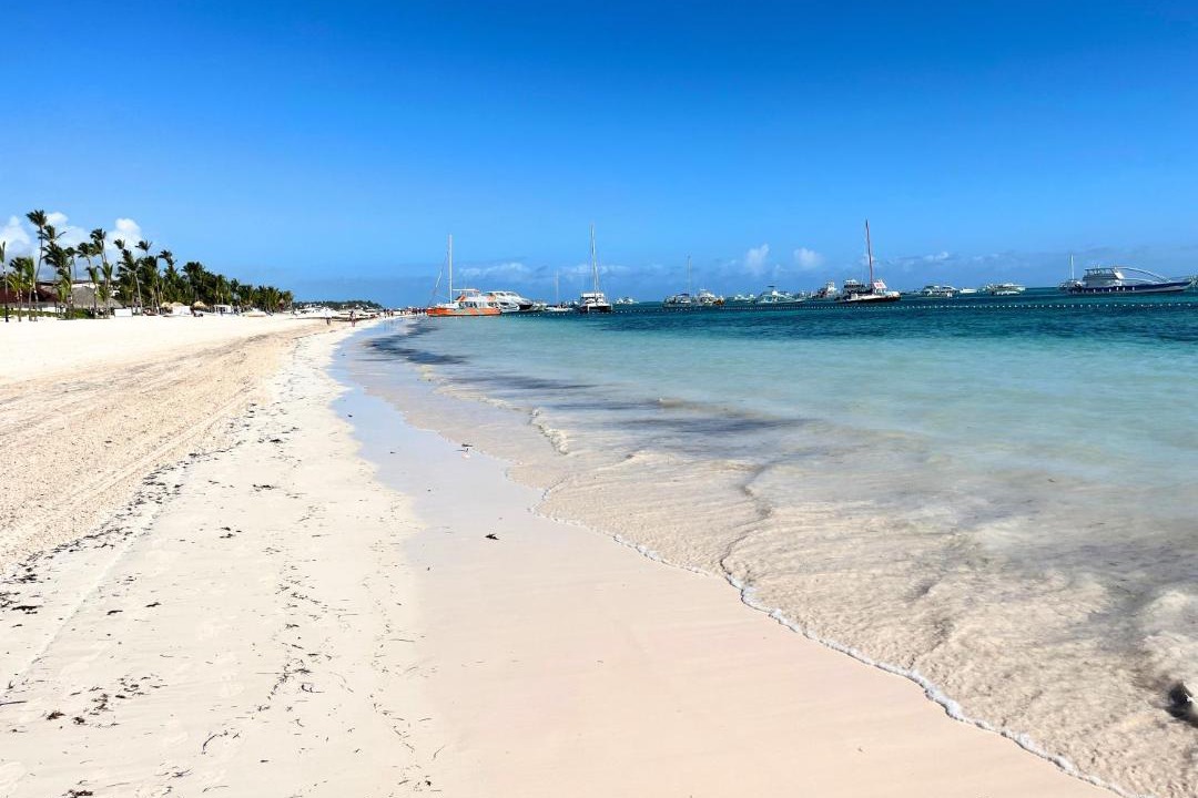 Photo of Others in Playa Bibijagua
