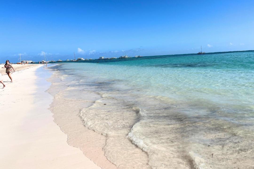 Photo of Others in Playa Bibijagua