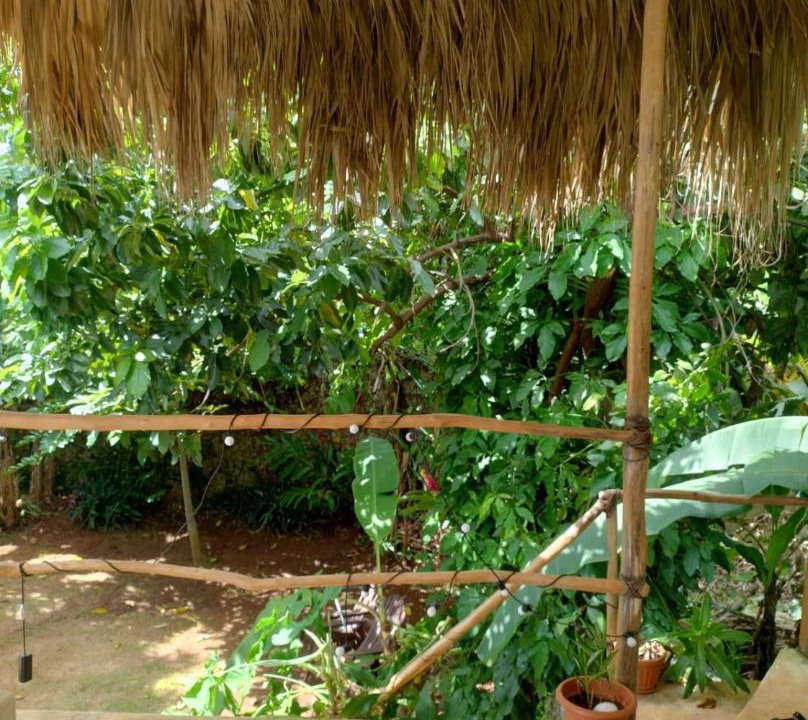 Photo of Others in Las Galeras