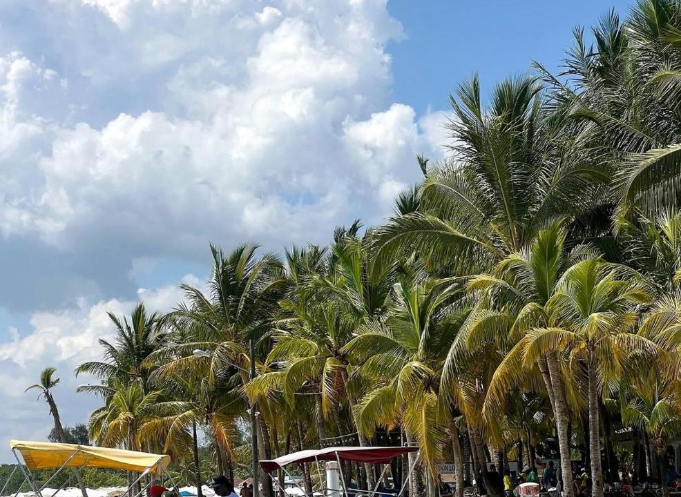 Photo of Others in Boca Chica