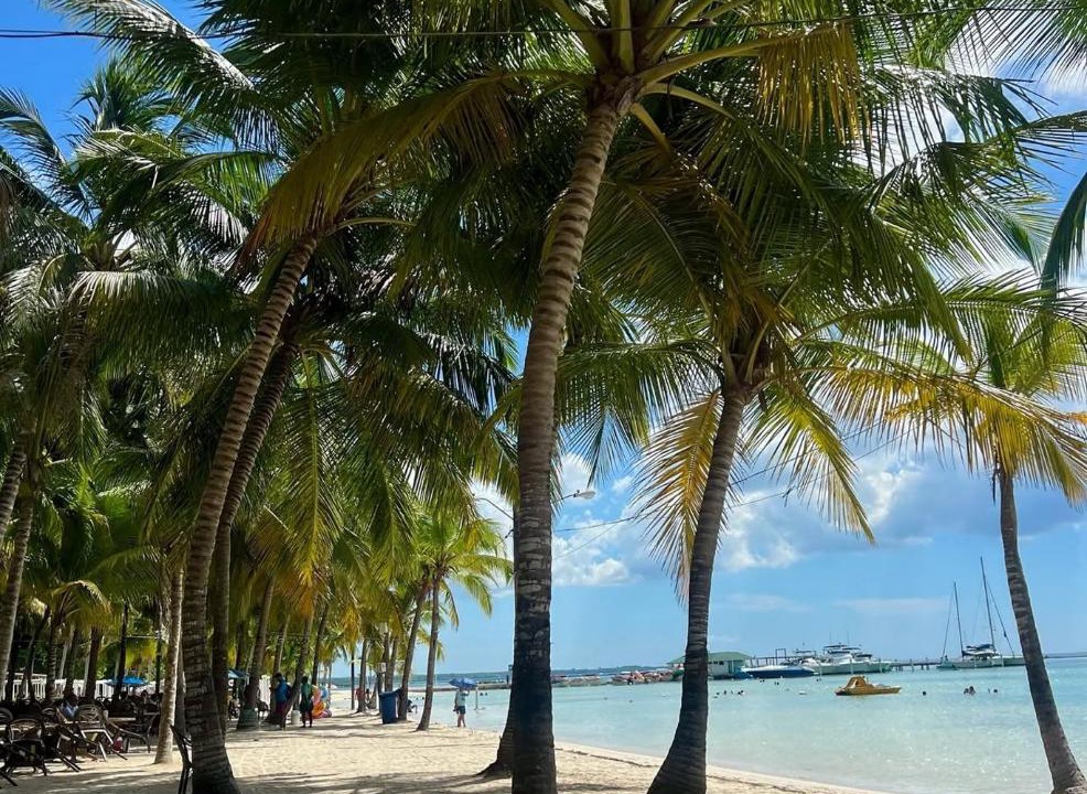 Photo of Others in Boca Chica