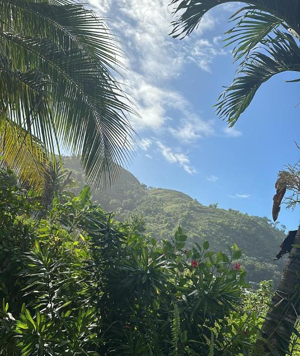 Photo of Others in Las Terrenas