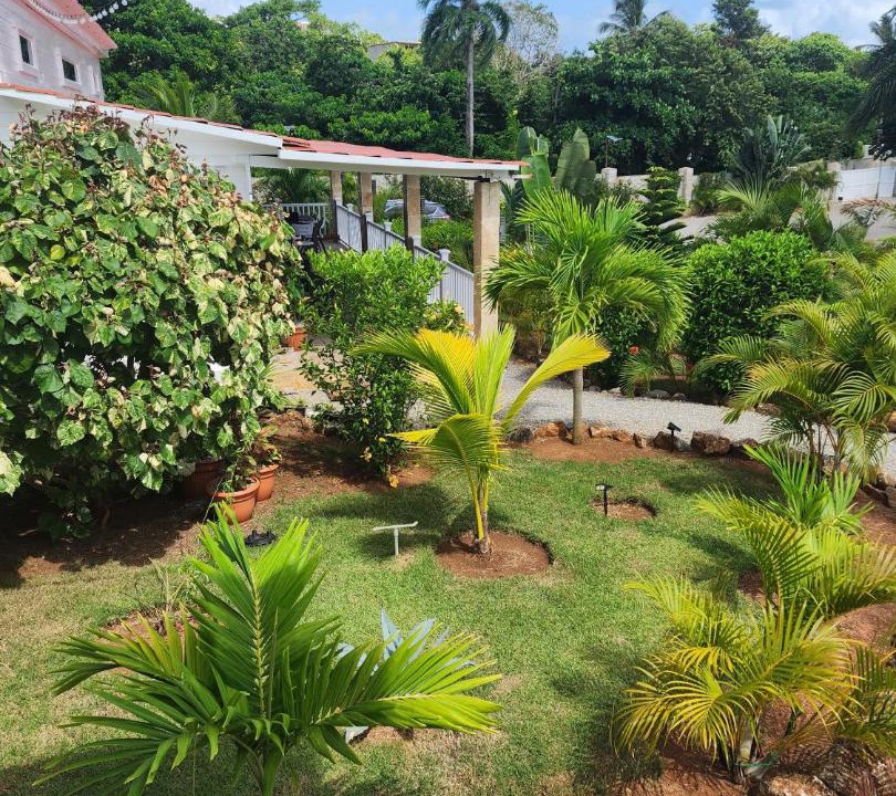 Photo of Others in Las Galeras