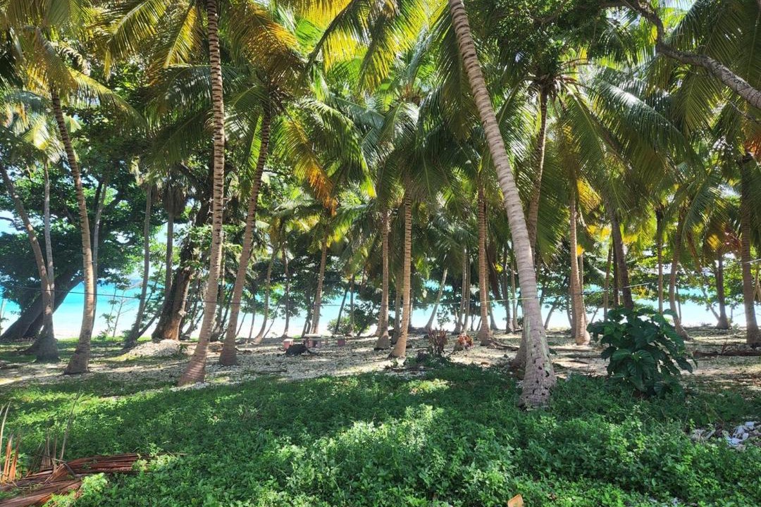 Photo of Others in Paraiso