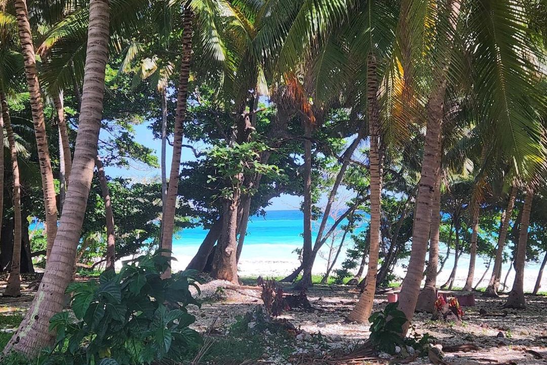 Photo of Others in Paraiso