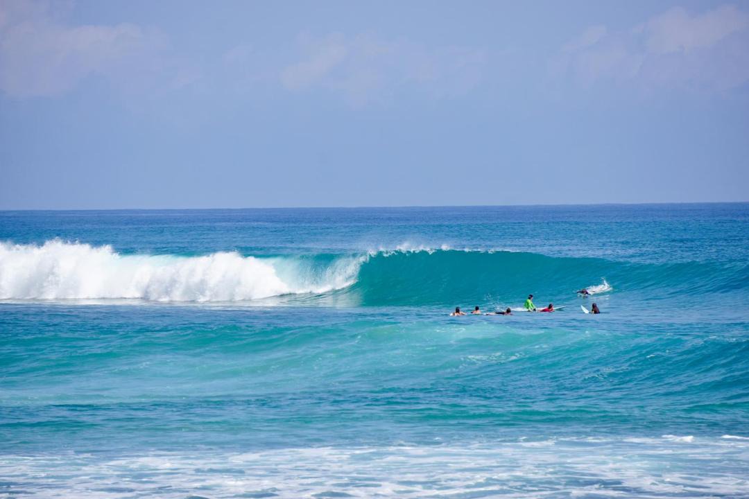 Photo of Others in Cabarete