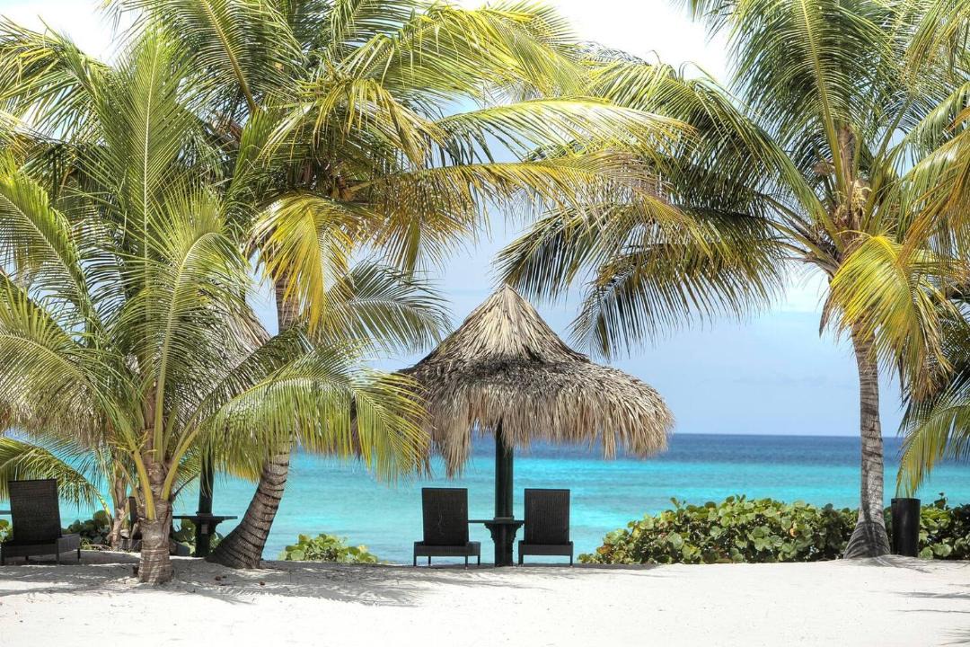 Photo of Others in Dominicus