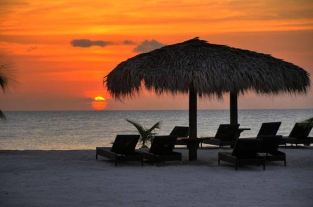 Photo of Others in Dominicus