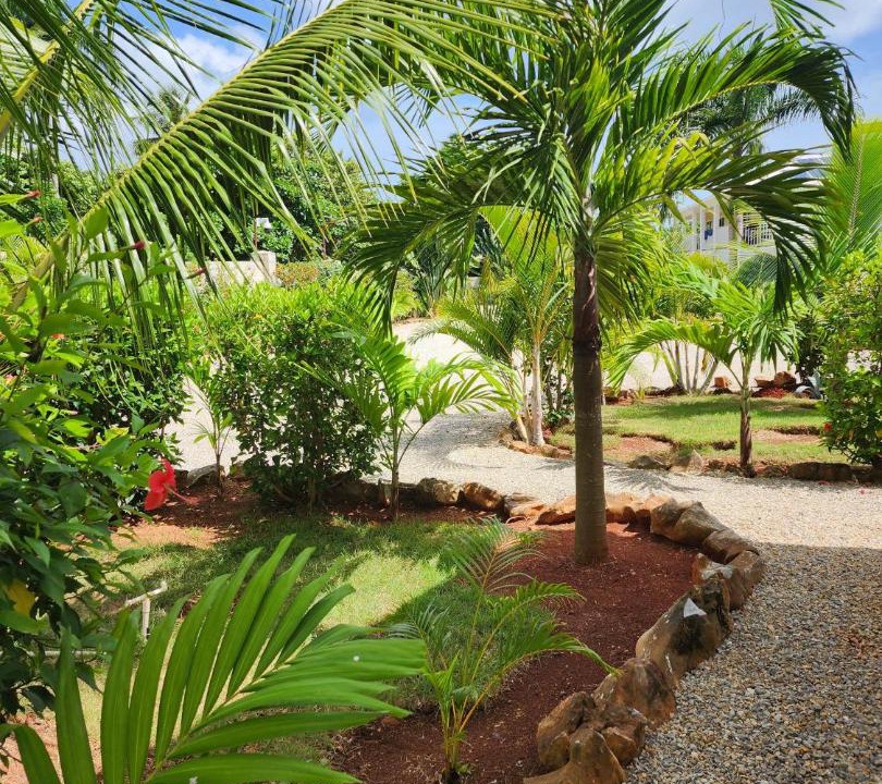 Photo of Others in Las Galeras