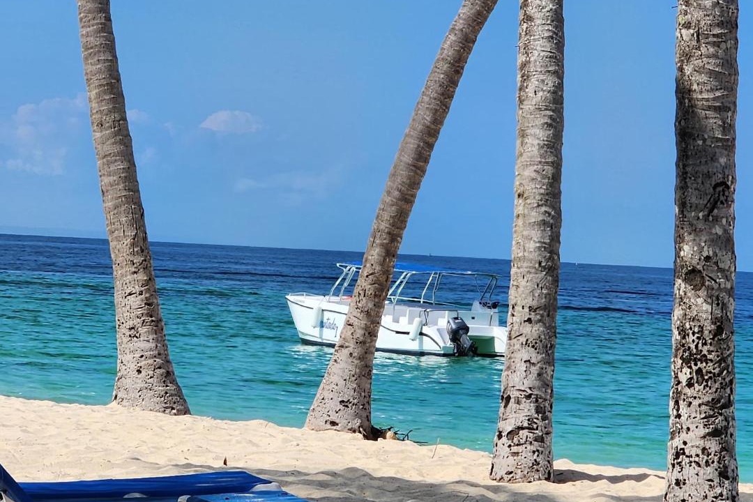Photo of Others in Las Galeras