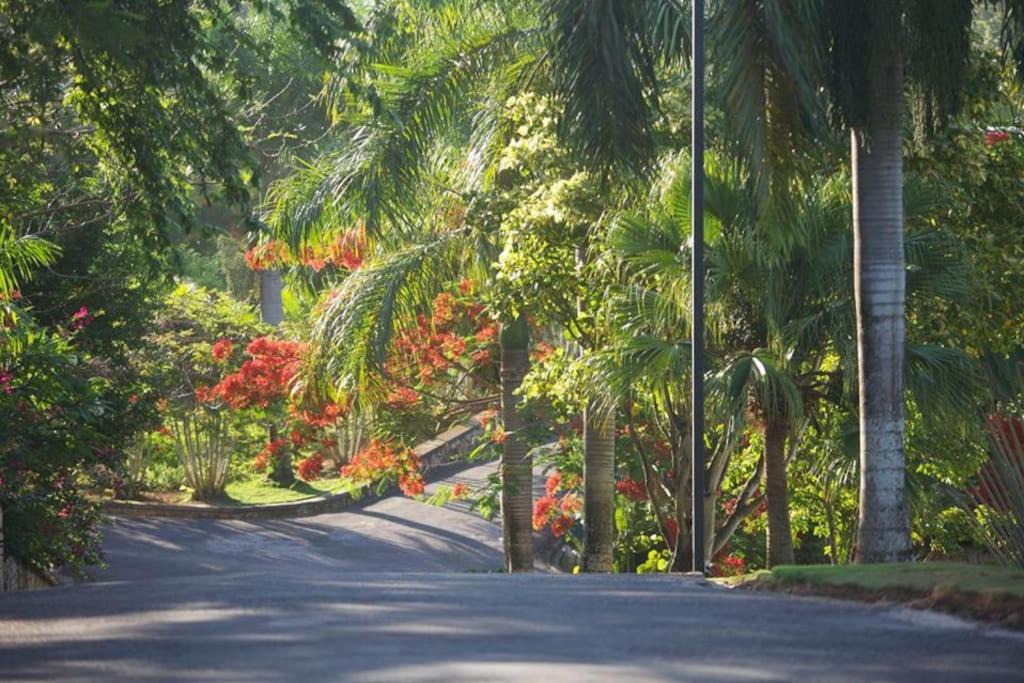 Photo of Others in Las Terrenas