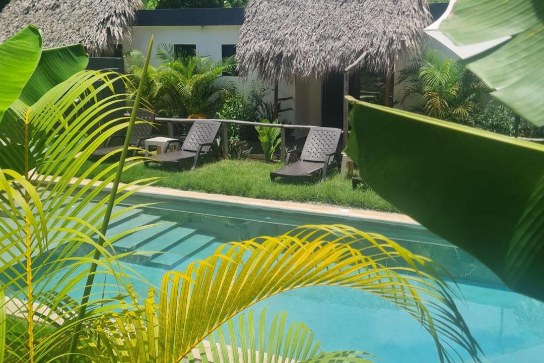 Photo of Others in Las Galeras