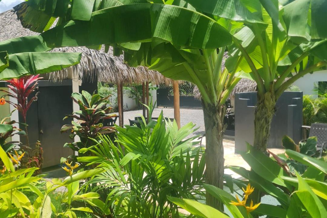 Photo of Others in Las Galeras