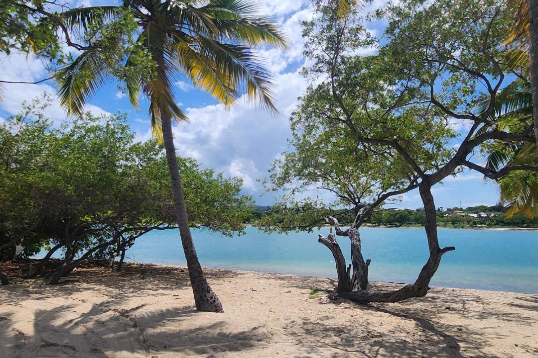 Photo of Others in Barahona
