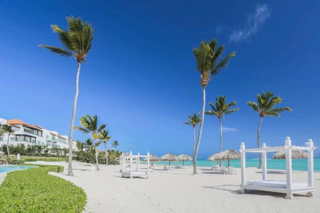 Photo of Others in Cap Cana Marina