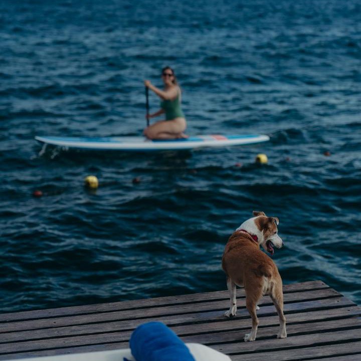 Photo of Others in Puerto Bahia