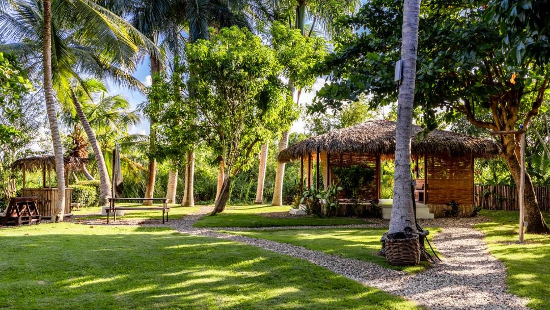 Photo of Others in Cabarete