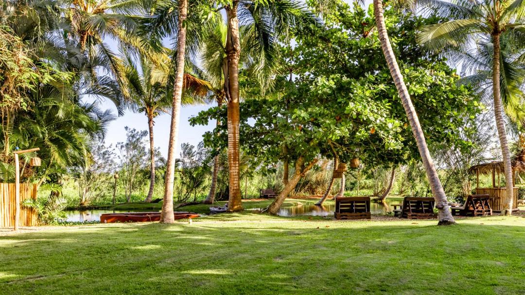 Photo of Others in Cabarete