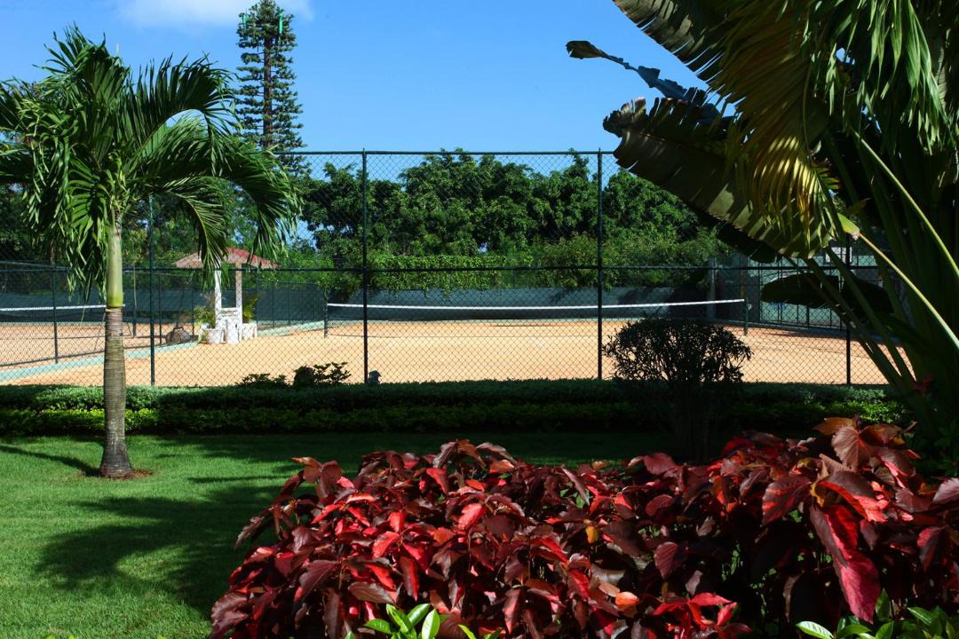 Photo of Others in El Soco