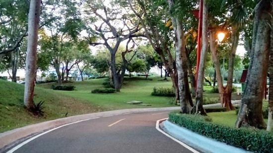 Photo of Others in Ciudad Universitaria