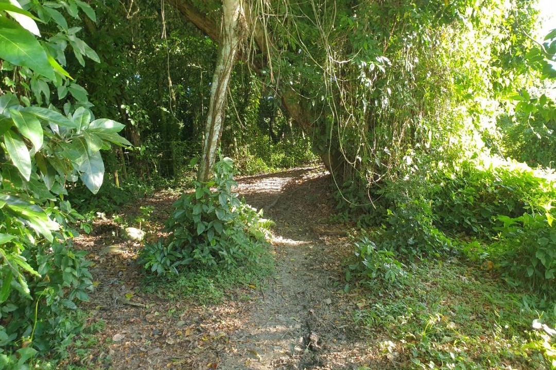 Photo of Others in Jarabacoa