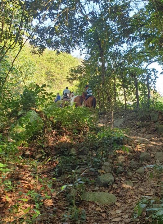 Photo of Others in Jarabacoa