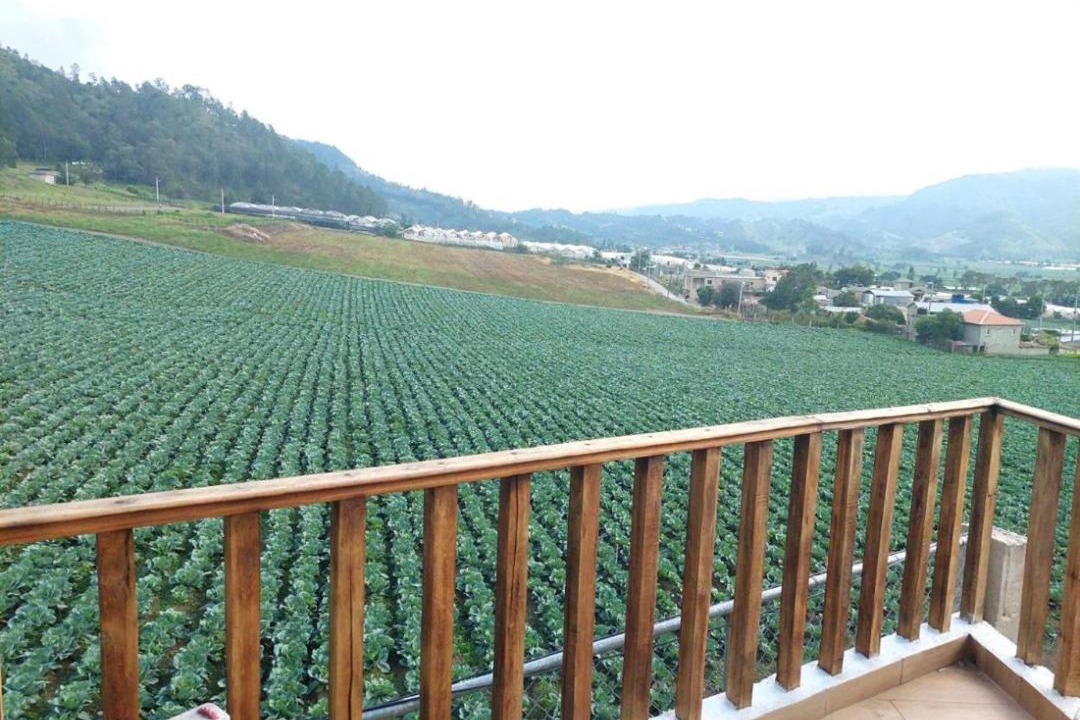 Photo of Others in Constanza