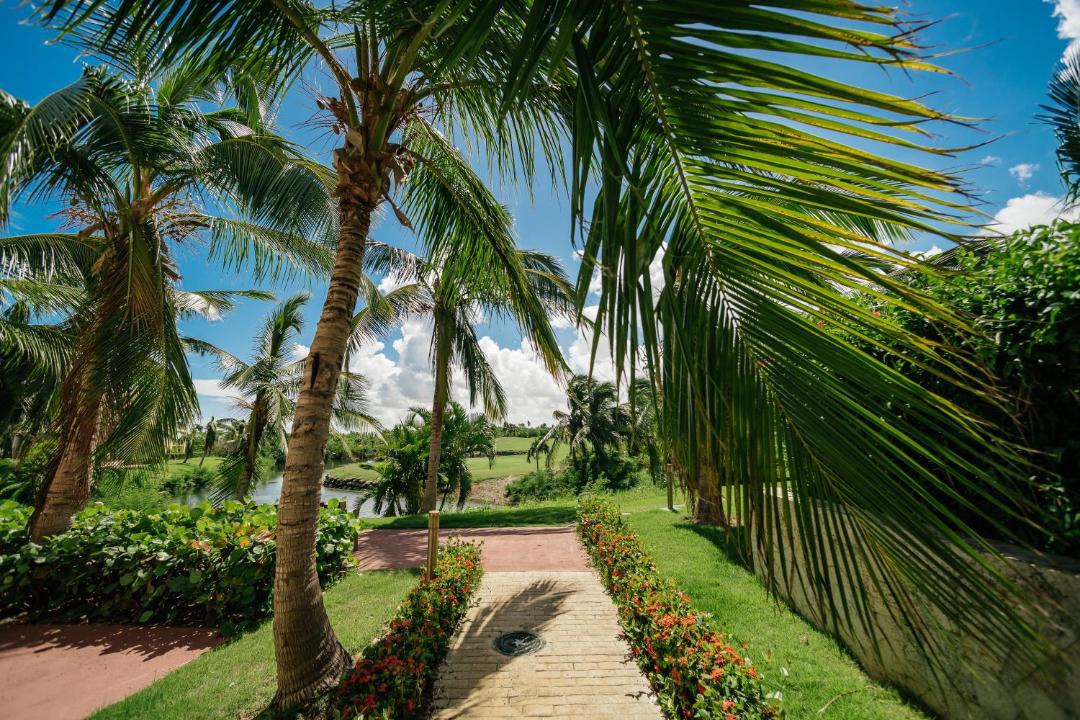 Photo of Others in Bavaro