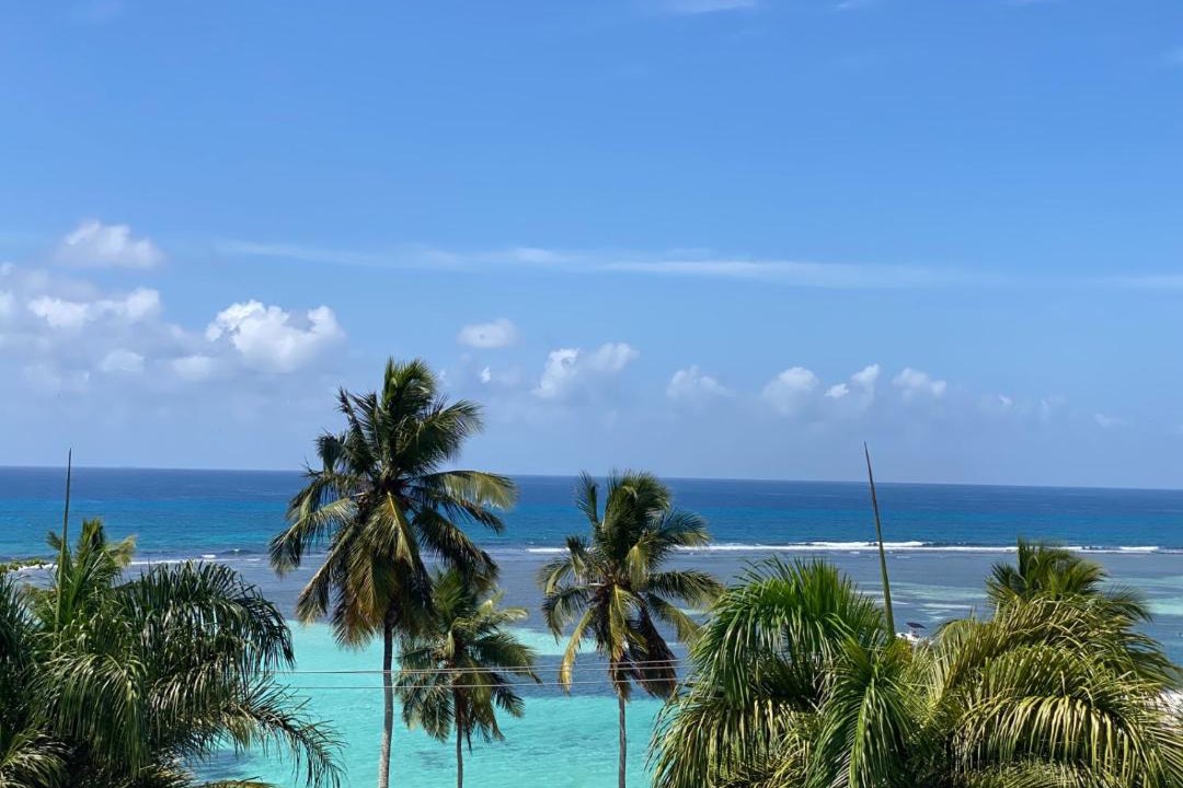 Photo of Others in Boca Chica