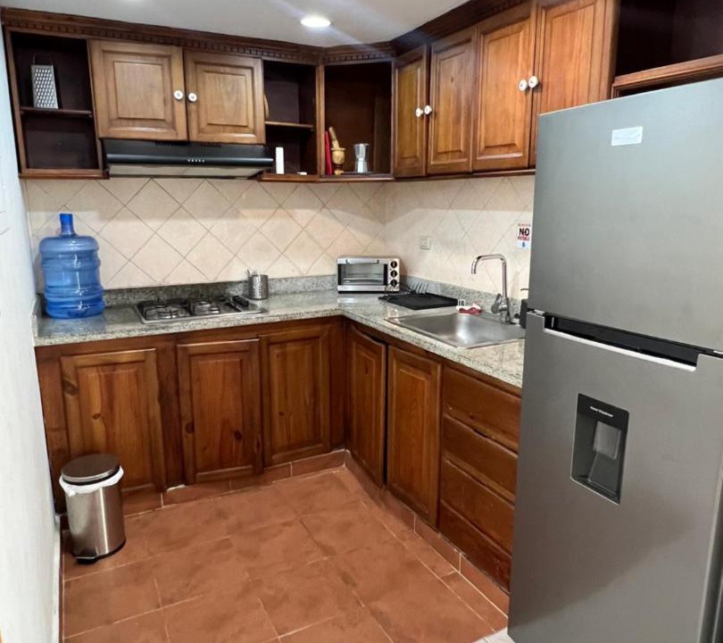 Photo of Others in Playa Bibijagua