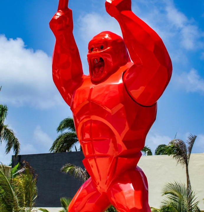 Photo of Others in Punta Cana