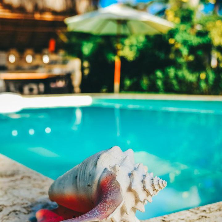 Photo of Others in Las Terrenas