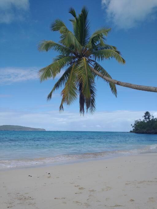 Photo of Others in Las Galeras