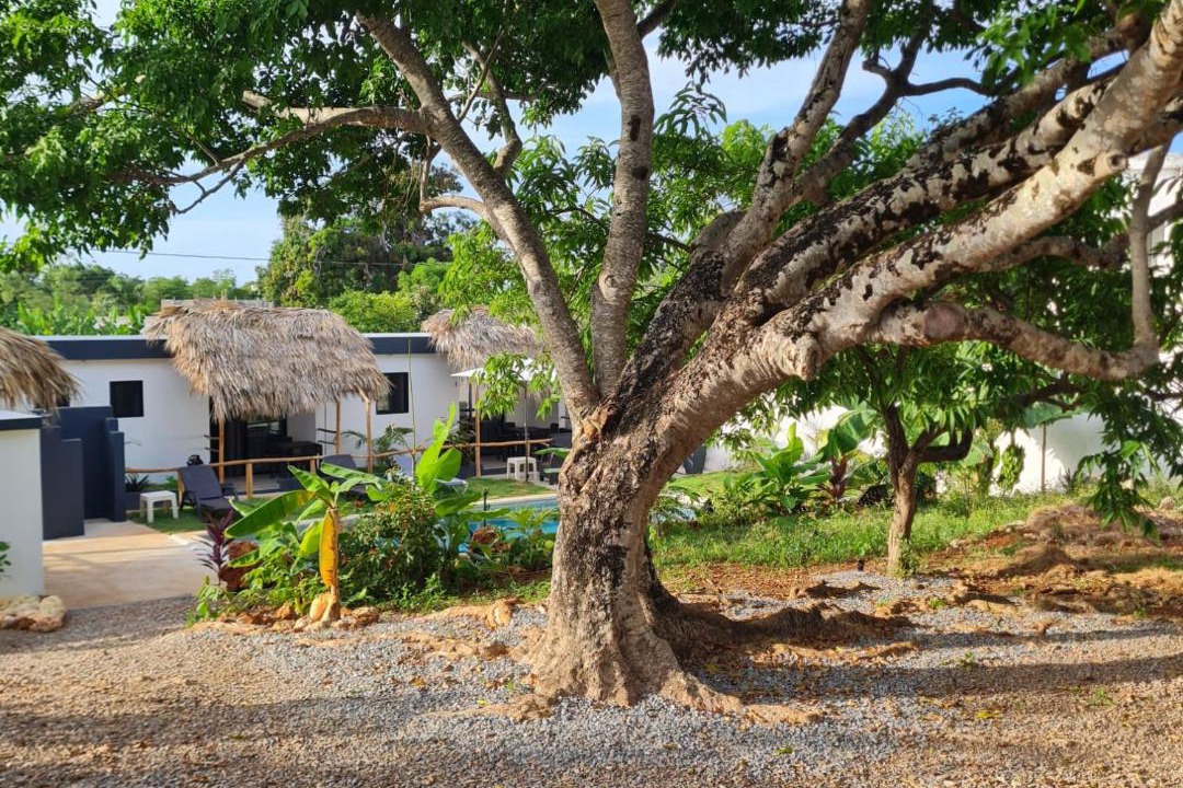Photo of Others in Las Galeras