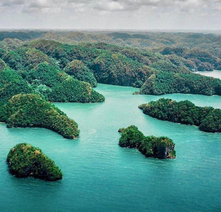 Photo of Others in Samana