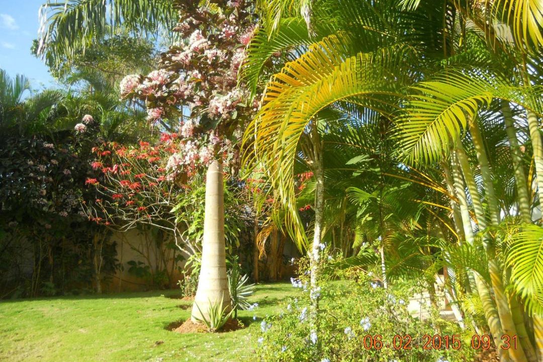 Photo of Others in Las Terrenas