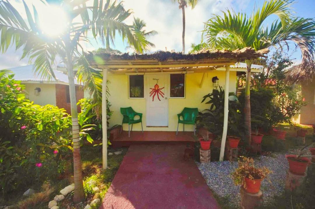 Photo of Others in Las Galeras